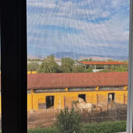 La Caffettiera Farm stay