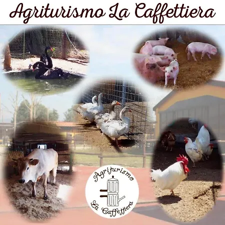 Farm stay La Caffettiera Sparanise